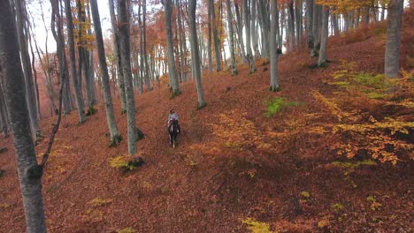 Riding-a-horse-in-a-forest-with-orange-leaves-in-autumn