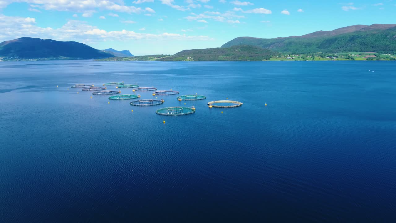 노르웨이에서 연어  ⁇ 시를 하는 공중 촬영