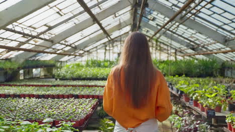 woman inspecting plants in a greenhouse