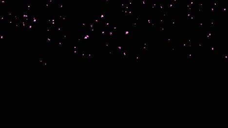 random rose petals against background green screen great for presentation forms ad wedding birthday