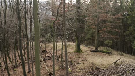 Impressions-of-the-Harz-national-park-on-a-dark-moody-day,-captured-by-a-drone-flying-very-high-and-in-between-trees-with-beautiful-orange-and-red-leaves,-North-Germany,-Europe