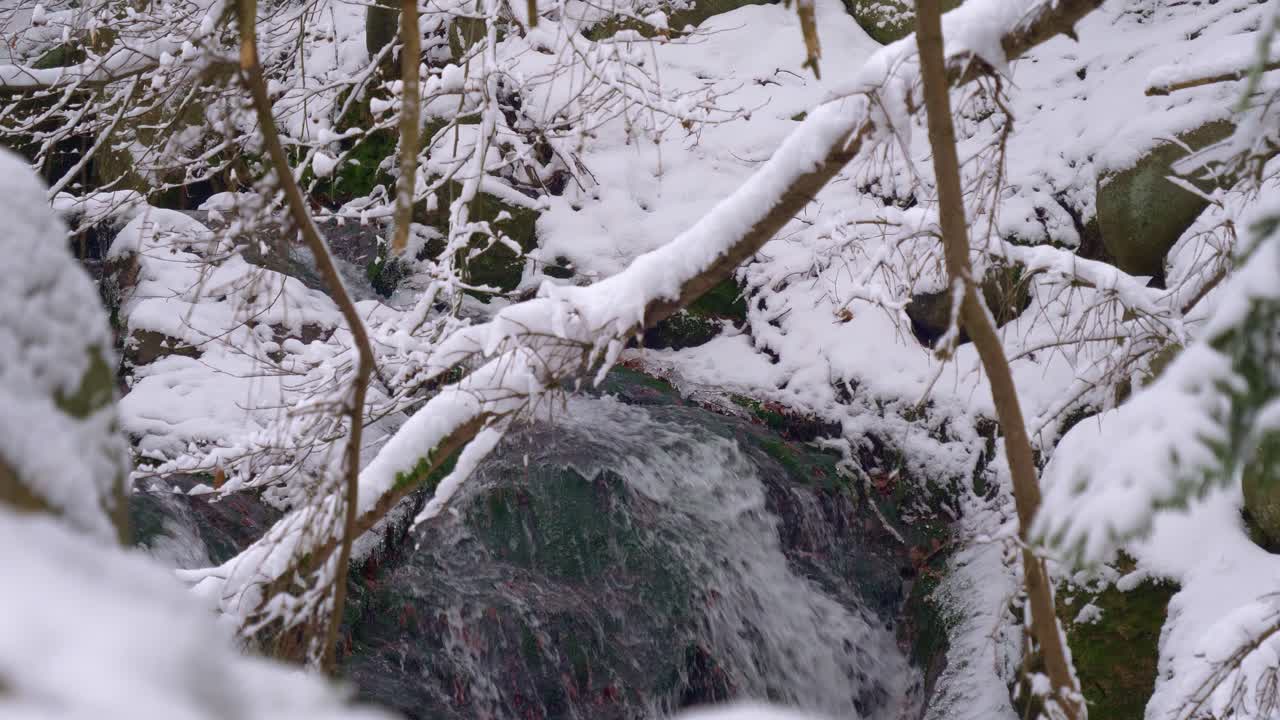 돌 바위와 나뭇가지가 흐르는 계류