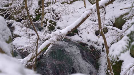 mountain stream flowing with stone boulders and tree branches
