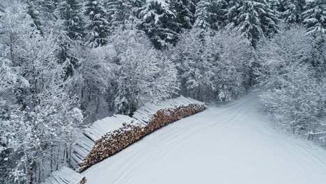 aerial pullback rising shot over stacks of tree cut logs stored at winter forest, deforestation concept