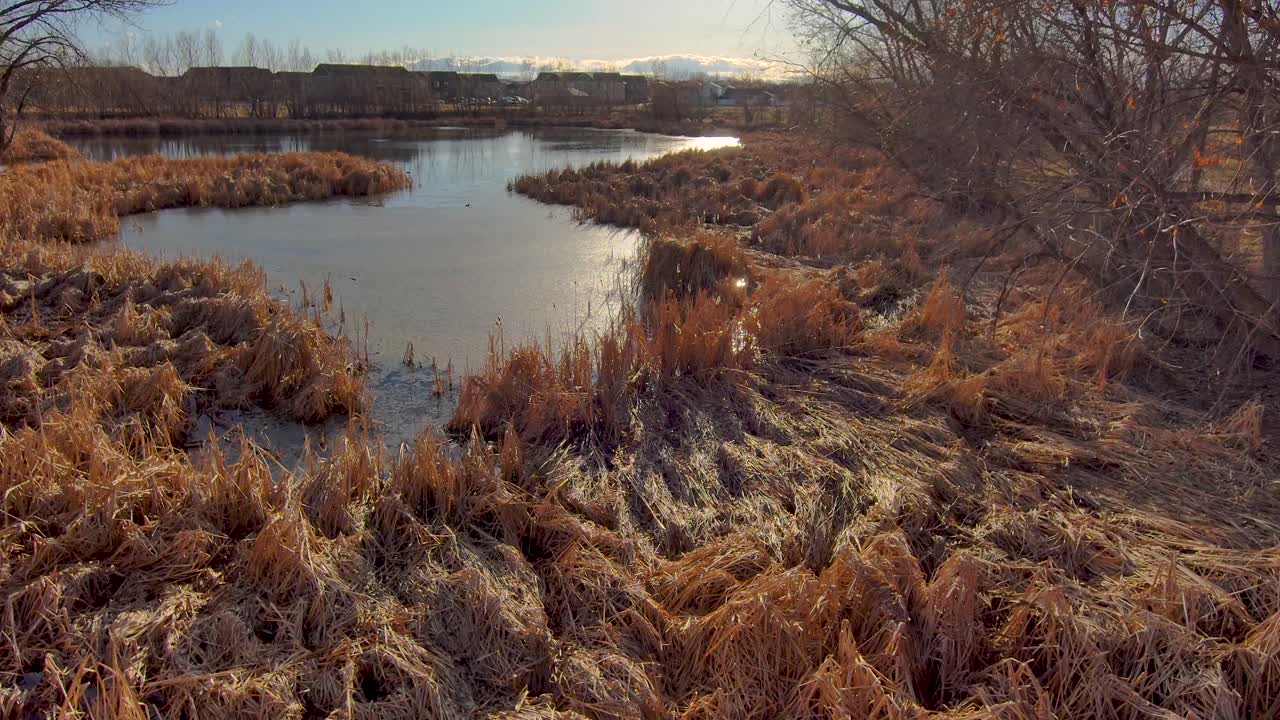 A drone fly through a dormant winter forest reveals the beauty of the sky reflected in the pond and the Rocky Mountains in the distance