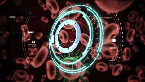 animación de un escáner circular sobre los glóbulos rojos y la célula de covid 19, con procesamiento de datos