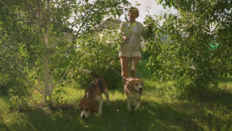 el dueño del perro sostiene cuidadosamente a sus dos perros en la correa mientras caminan a través de un jardín verde exuberante, maniobrando alrededor de las ramas de los árboles y la vegetación vibrante, con luz solar natural
