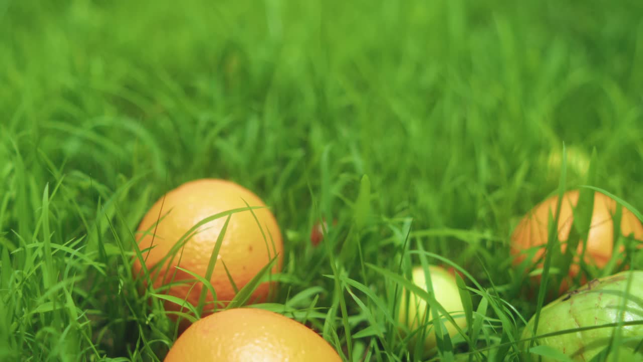 Smooth zoom out reveals oranges and other fruits lying on lush green grass under natural daylight