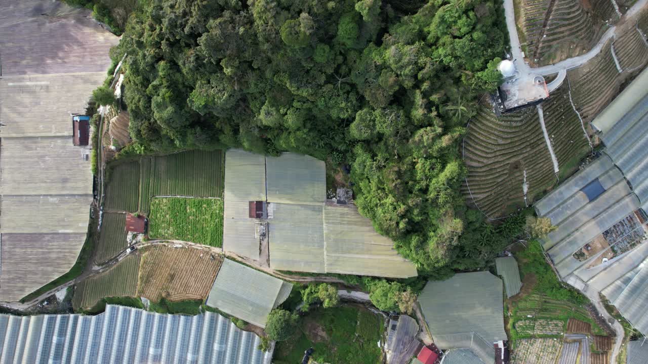 말레이시아의 카메론 하이랜드 지역 내의 브린창 지역의 일반 풍경