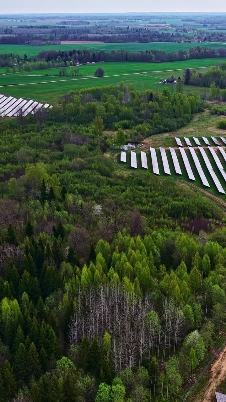 Stunning high-angle vertical drone shot looking over rows of an expansive solar panel field. Features long, geometric lines of photovoltaic modules situated among rural green meadows and forests.