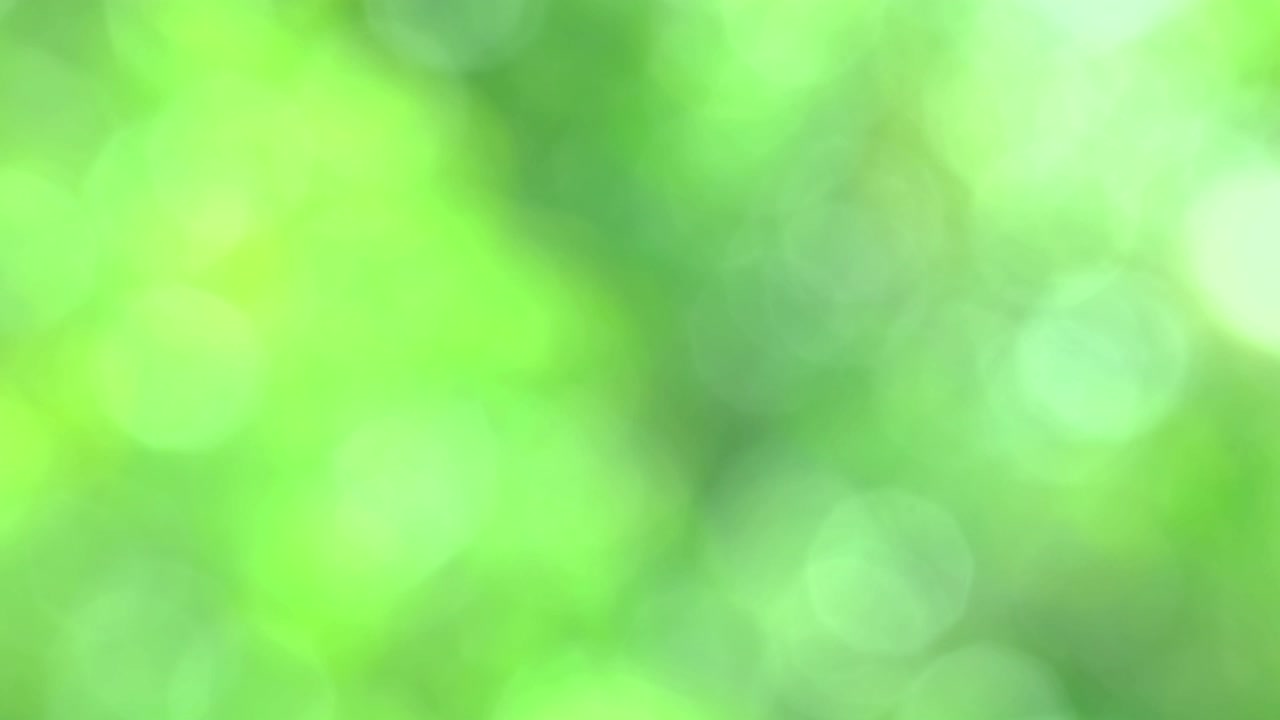 fondo biológico, abstracto follaje borroso luz solar brillante