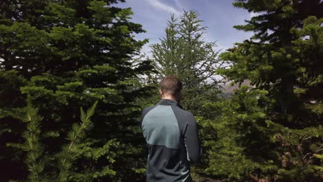Hiker-walking-trough-pine-trees-on-mountain-range,-Rockies,-Kananaskis,-Alberta-Canada