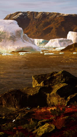 icebergs in the arctic