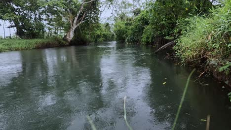 river flow at a rainy day in sontecomapan veracruz mexico