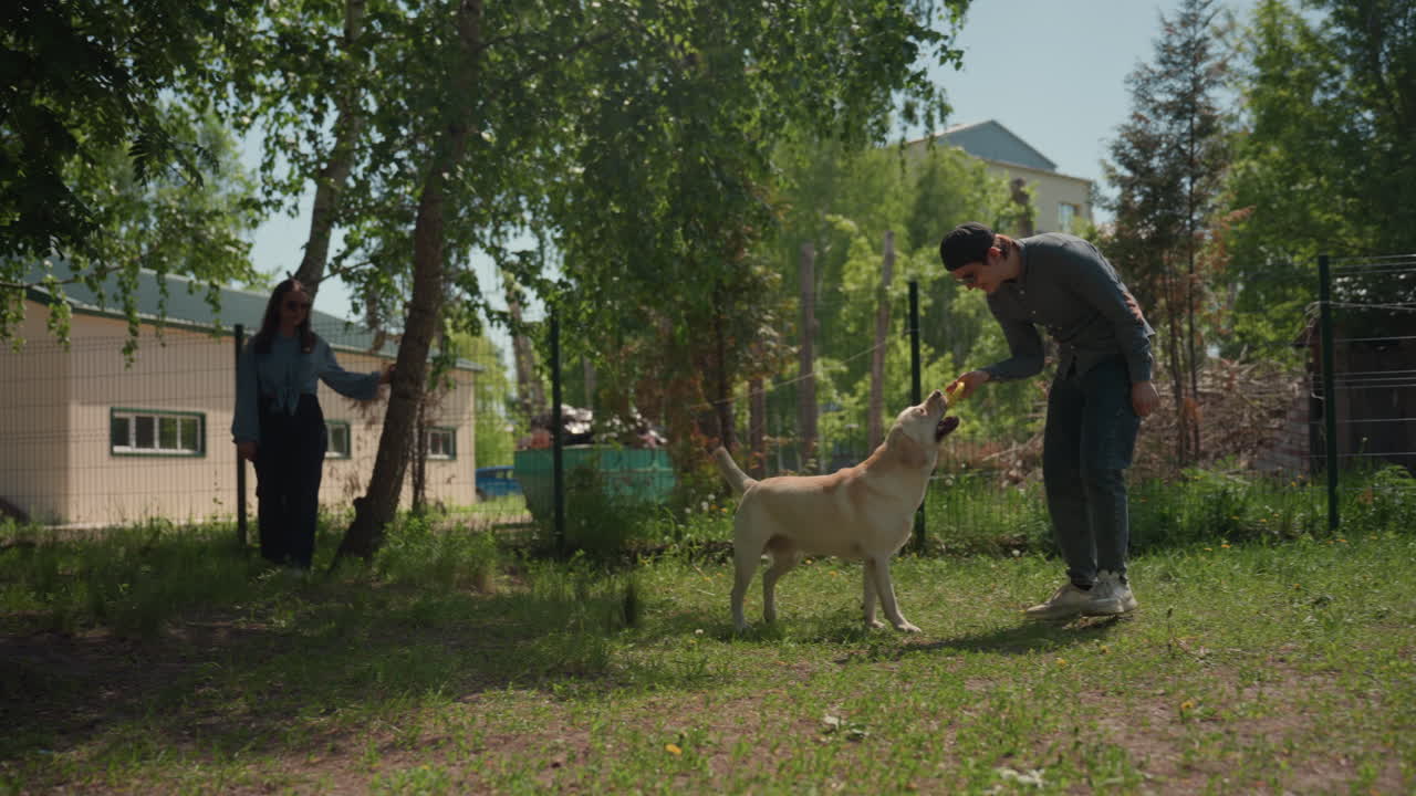 화창한 공원에서 개가 쫓아 뛰어다니는 장면입니다. 밝은 공원을 배경으로 즐거워하는 커플과 활기 넘치는 개의 모습이 보입니다. 백인 커플은 따뜻하게 재회하고, 래브라도는 근처에서 힘차게 뛰어다닙니다.