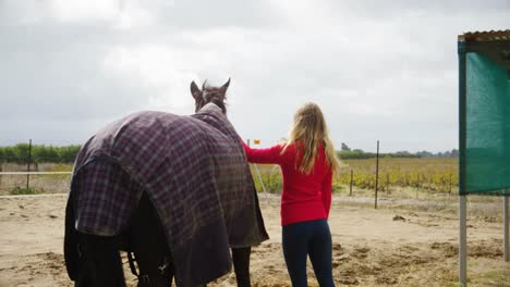 woman stroking a horse in ranch 4k