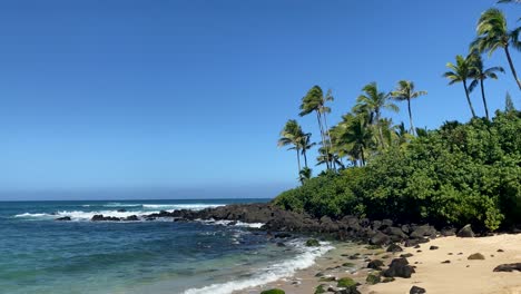 tropical and sunny north shore beach of oahu