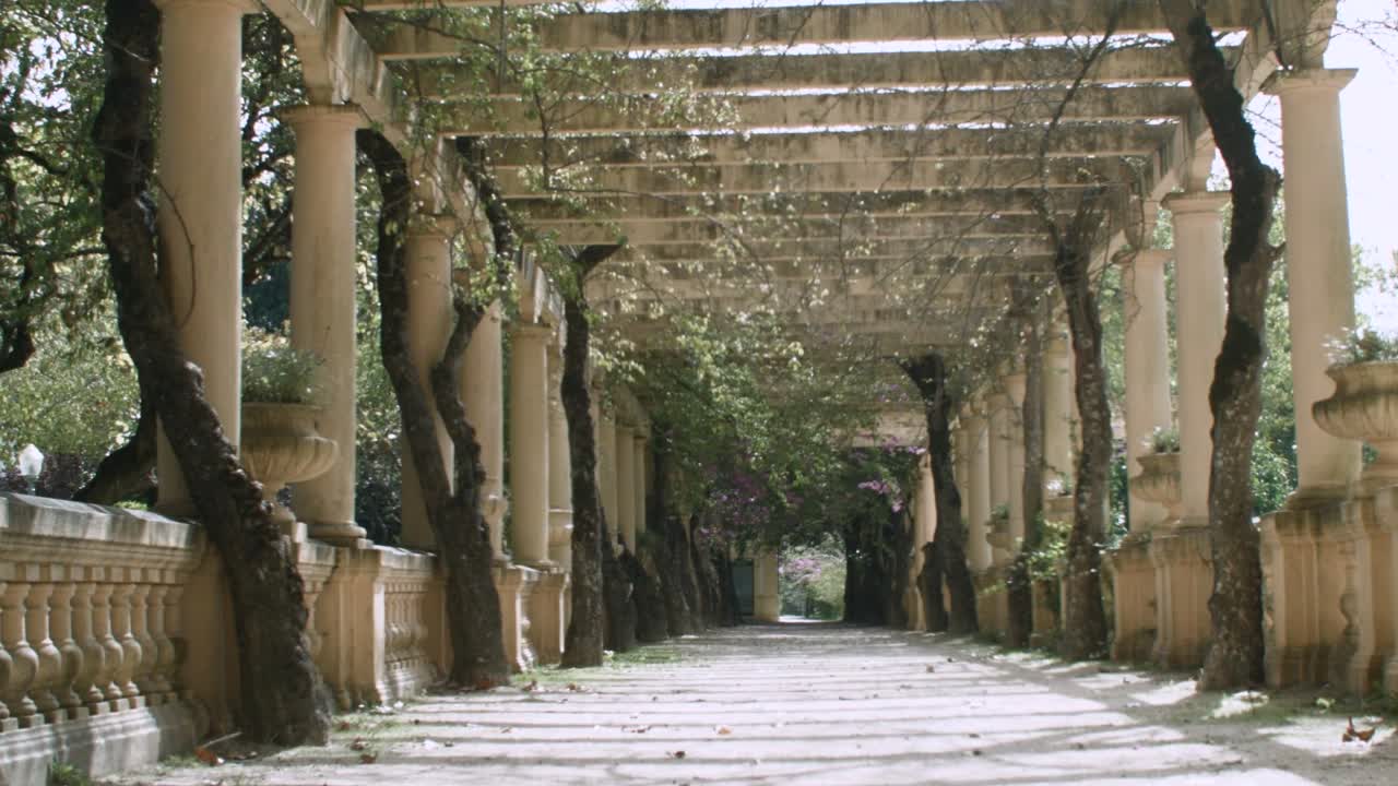 porche con plantas trepadoras en el parque infante dom pedro en aveiro, portugal