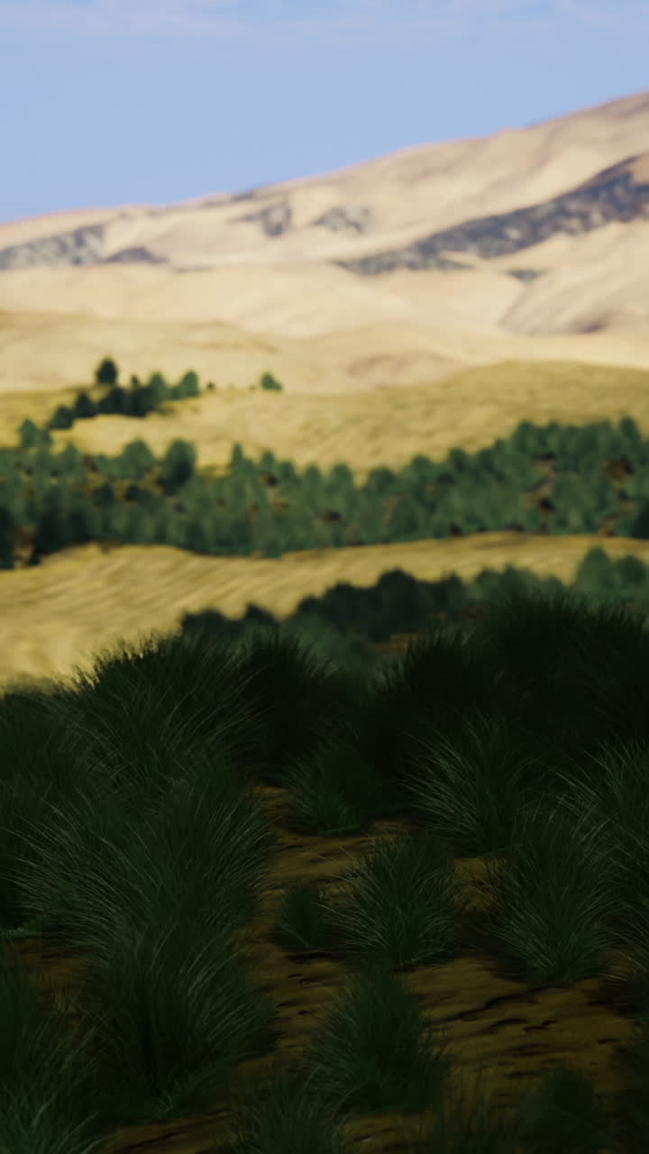 Vast desert landscape under a clear blue sky showcases natures beauty