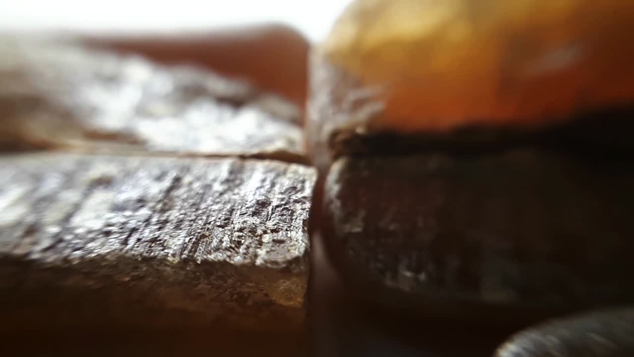 belemnits fosilizados en blanco. primer plano macro foto de estudio-9