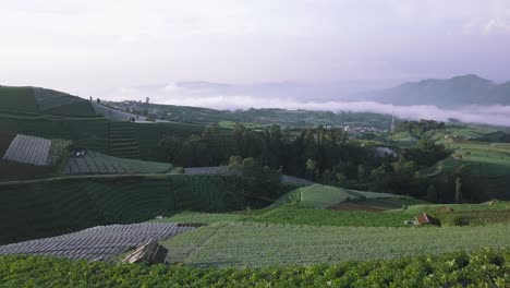 Hermosa-Plantación-De-Hortalizas-En-Terrazas-En-La-Ladera-De-La-Montaña-Sumbing-Con-Cielo-Nublado-En-El-Fondo