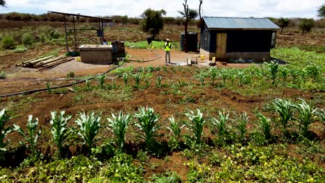 rural agricultural farms in kenya