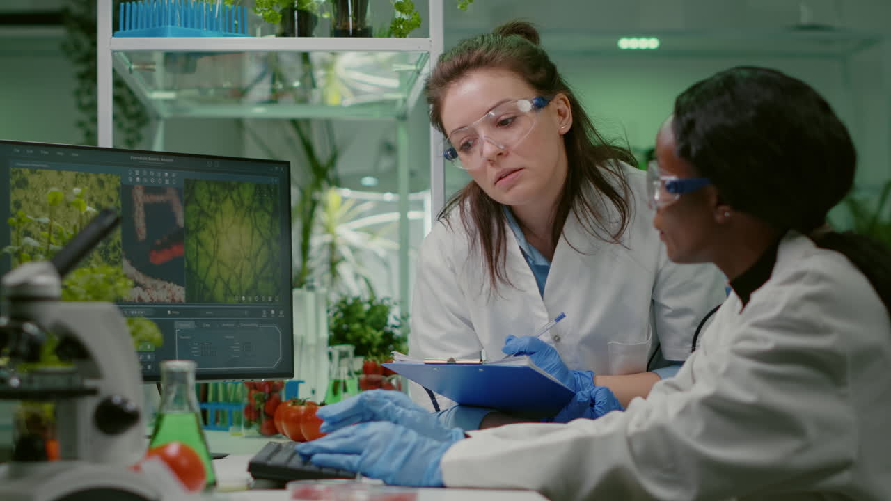 Two collegues checking sample of vegan meat writing biotechnology expertise