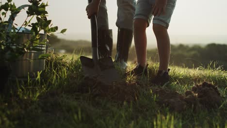 video of grandfather and grandson planting a tree