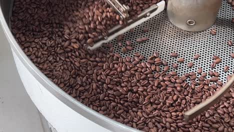 granos de café tostados de calidad girando en la bandeja de enfriamiento y mezcla para reducir la temperatura del calor después del tostado, toma de fábrica del almacén de producción de la industria de alimentos y bebidas, toma de primer plano
