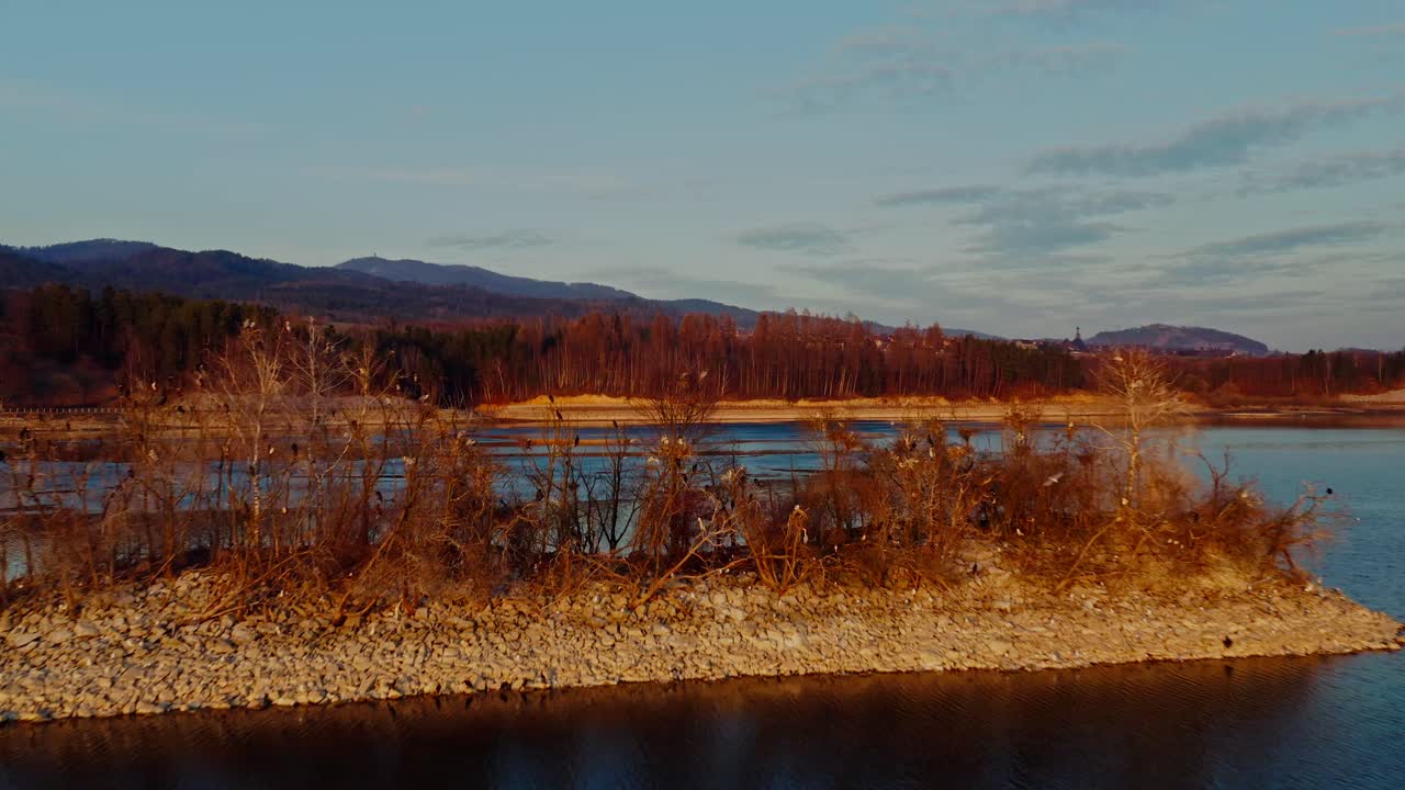 Ora d'oro su un parco naturale con lago idilliaco e uccelli marini