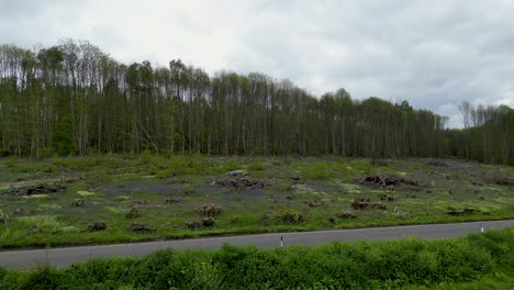 low altitude dolly right drone along a country road with deforestation in the background