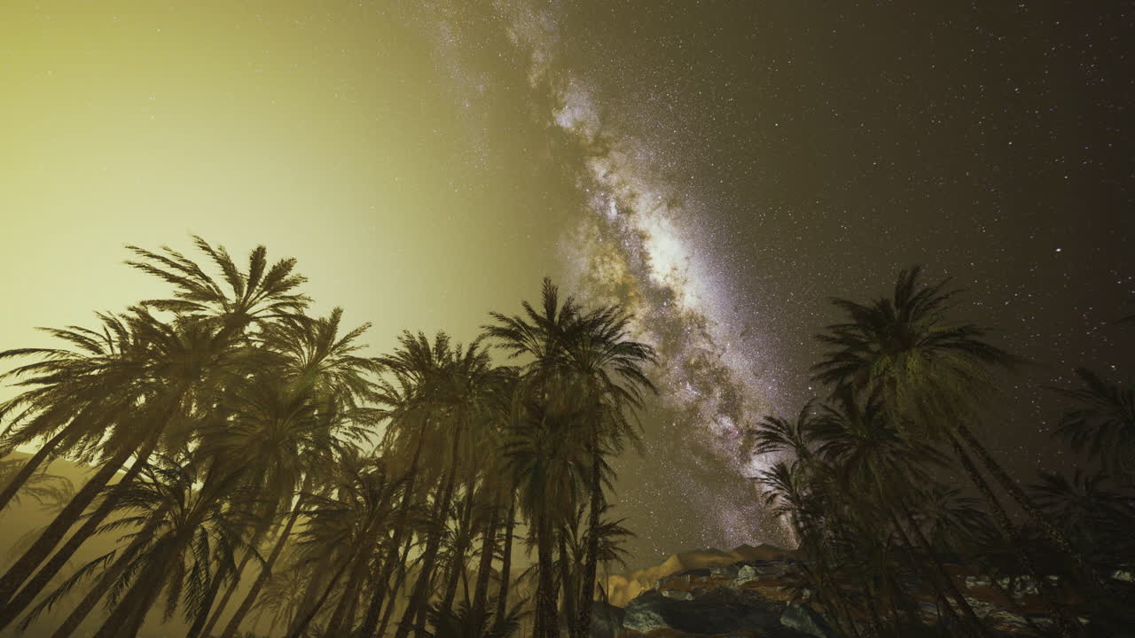 Celestial view of the milky way over palm trees in a serene desert at night