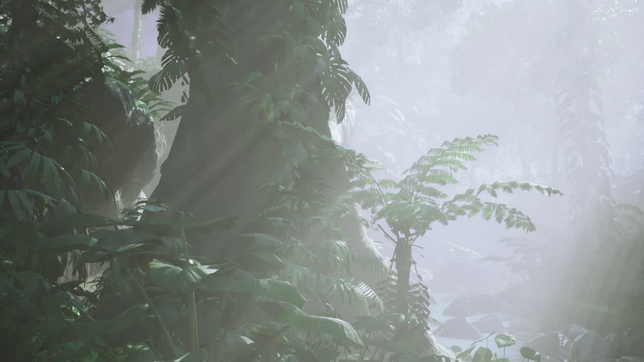 bosque nebuloso con la luz del sol filtrando a través del denso follaje por la mañana