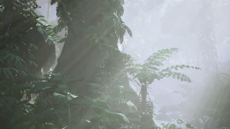 misty forest with sunlight filtering through dense foliage in the morning