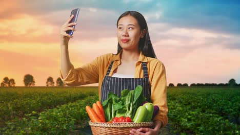 asian female farmer with vegetable basket having a video conference call with someone over smart phone in field