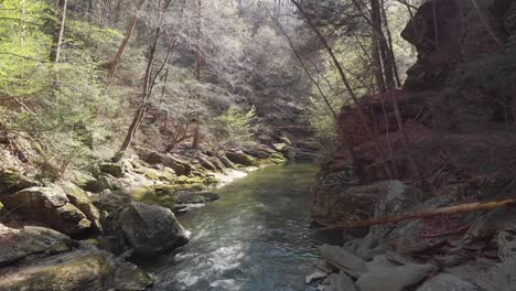 Pennsylvania-spring-creek-in-southern-lancaster-county-in-conestoga-river-creek-hole-watering-hole-swimming-hole-recreation-blossoms-rock-cliffs