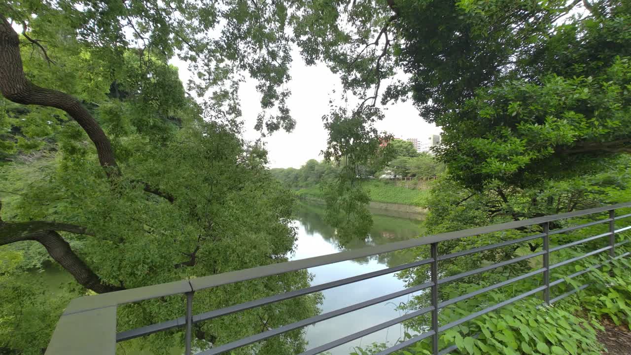 도쿄 치도리가푸치 (tokyo chidorigafuchi) 2022년