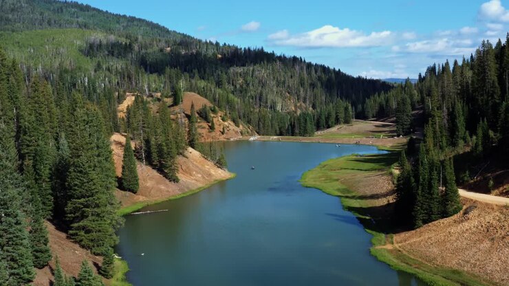 Beautiful lowering aerial drone shot of a stunning nature landscape of the Anderson Meadow Reservoir lake up Beaver Canyon in Utah with large pine tree forest, a small stream, and a grass field