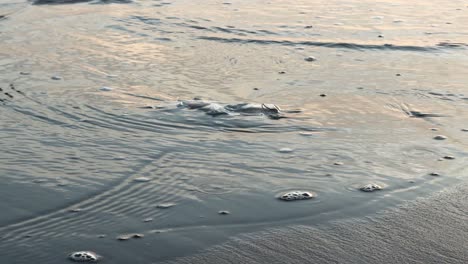 Agua-De-Mar-Que-Cubre-Una-Bolsa-De-Plástico-En-La-Arena