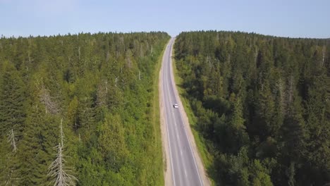 luftaufnahme einer straße durch einen wald