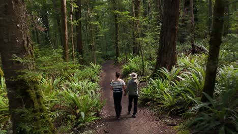 Couple-enjoying-a-walk-through-a-vibrant,-green-temperate-rainforest