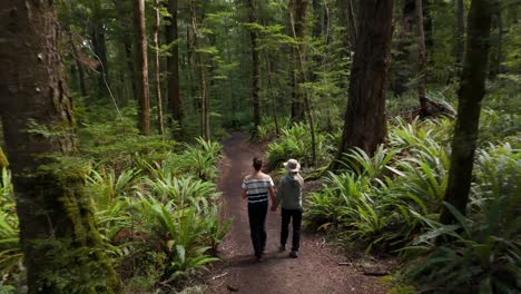 couple enjoying a walk through a vibrant, green temperate rainforest