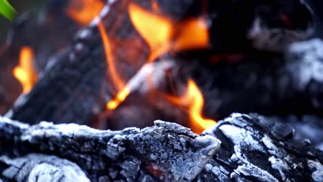 fire flame background. close up of burning firewood in the fireplace