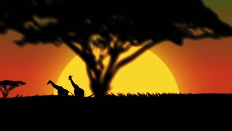 animals and safari of africa around view [loop]
