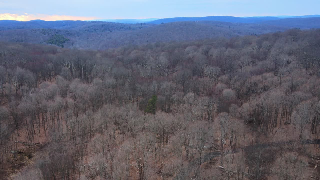 Drönarfilm av vidsträckt vildmark med kal trädtoppskrona och en sjö i fjärran under vintern i Appalacherna.