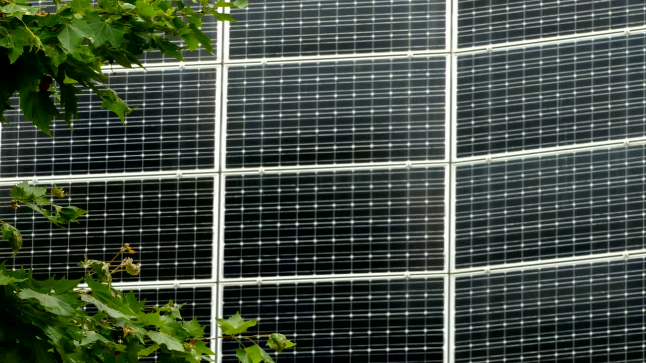 energía solar, fotosíntesis y viento concepto de energías naturales.