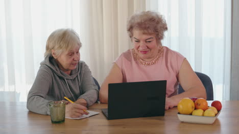 two senior women having an online meeting or video call at home