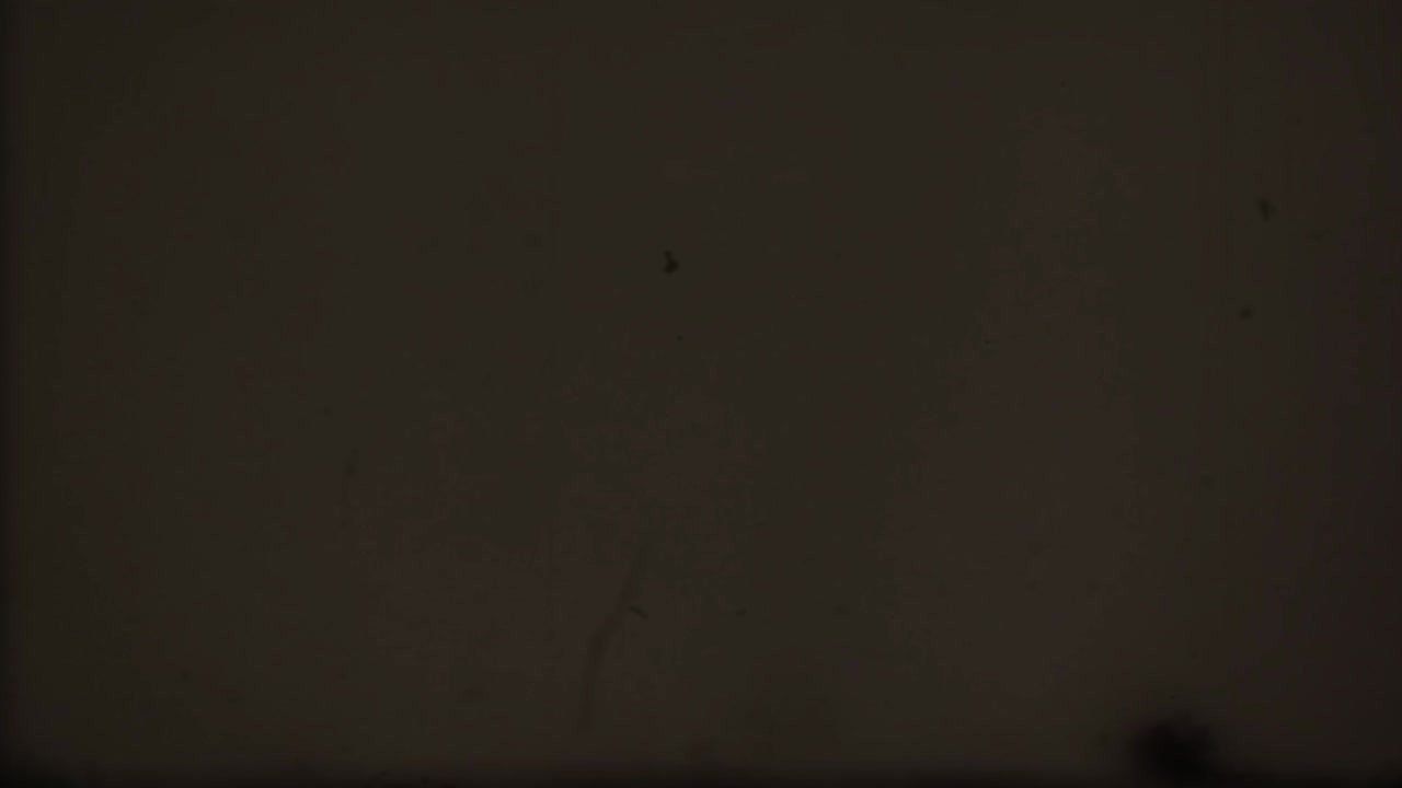 영화 리더 카운트다운, 오래된 영화 카운트다운 영화 릴, 노이즈와 스크래치가있는 오래된 영화의 모방 스 비디오