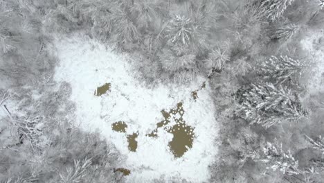 Ariel-footage-of-snow-covered-landscapes