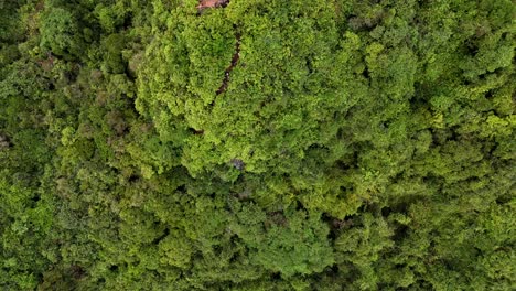 vista aérea del parque nacional de cat ba en vietnam